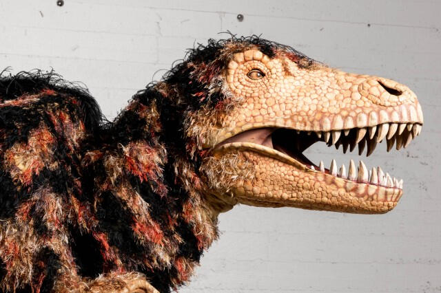 &quot;HUNTER&quot; THE T-REX (Natural History Museum)